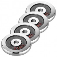 Набор хромированных дисков Voitto 2,5 кг (4 шт) - d26